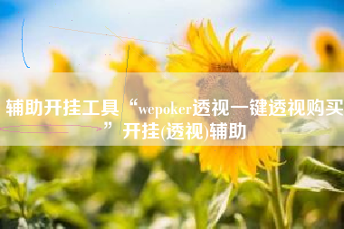 辅助开挂工具“wepoker透视一键透视购买”开挂(透视)辅助