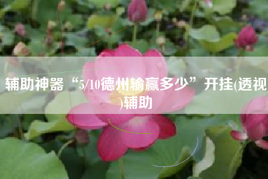 辅助神器“5/10德州输赢多少	”开挂(透视)辅助