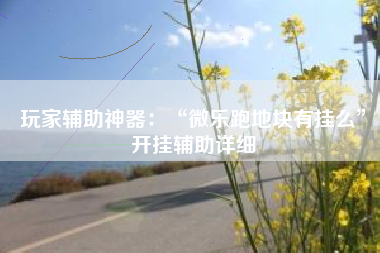玩家辅助神器：“微乐跑地块有挂么	”开挂辅助详细