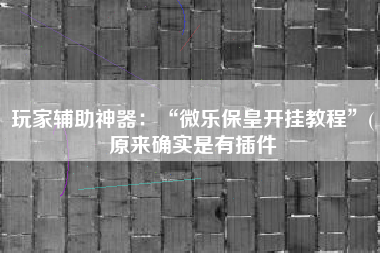 玩家辅助神器：“微乐保皇开挂教程”(原来确实是有插件