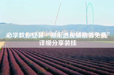 必学教你安装“微乐透视辅助器免费”详细分享装挂