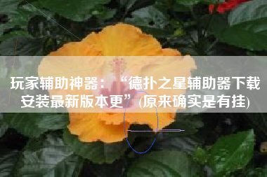 玩家辅助神器：“德扑之星辅助器下载安装最新版本更	”(原来确实是有挂)