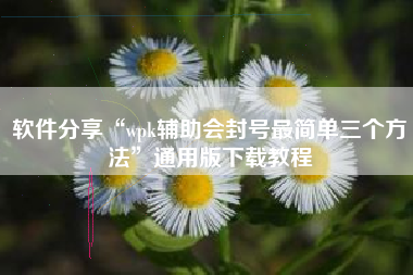 软件分享“wpk辅助会封号最简单三个方法	”通用版下载教程