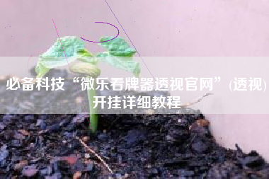 必备科技“微乐看牌器透视官网”(透视)开挂详细教程