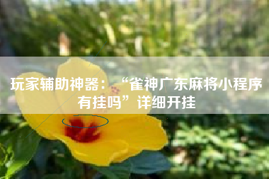 玩家辅助神器:“雀神广东麻将小程序有挂吗”详细开挂 玩家辅助神器:“雀神广东麻将小程序有挂吗”详细开挂