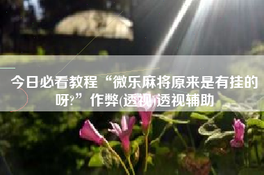 今日必看教程“微乐麻将原来是有挂的呀?	”作弊(透视)透视辅助