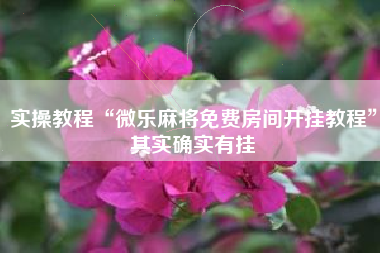 实操教程“微乐麻将免费房间开挂教程	”其实确实有挂