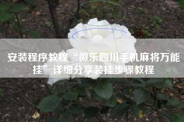 安装程序教程“微乐四川手机麻将万能挂	”详细分享装挂步骤教程