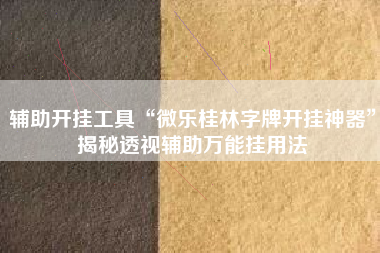 辅助开挂工具“微乐桂林字牌开挂神器”揭秘透视辅助万能挂用法 辅助开挂工具“微乐桂林字牌开挂神器”揭秘透视辅助万能挂用法