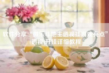 软件分享“微乐斗地主透视挂游戏亮点”(透视)开挂详细教程