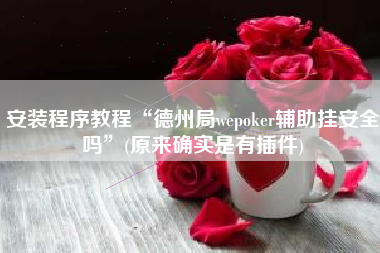 安装程序教程“德州局wepoker辅助挂安全吗	”(原来确实是有插件)