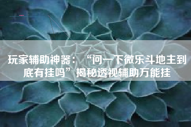 玩家辅助神器：“问一下微乐斗地主到底有挂吗”揭秘透视辅助万能挂