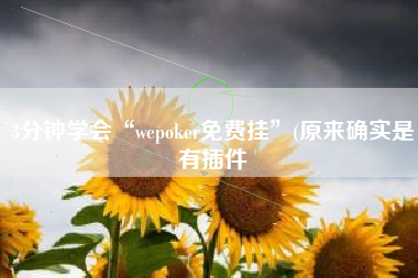 3分钟学会“wepoker免费挂”(原来确实是有插件