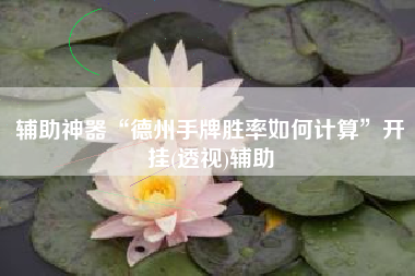 辅助神器“德州手牌胜率如何计算”开挂(透视)辅助