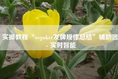 实操教程“wepoker发牌规律总结”辅助器 - 实时智能