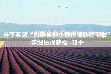 分享实测“微乐雀神小程序辅助器下载	”(详细透视教程)-知乎