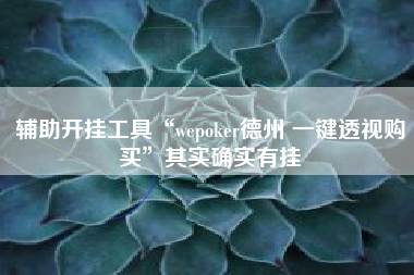 辅助开挂工具“wepoker德州 一键透视购买”其实确实有挂