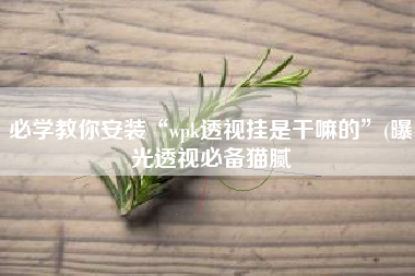 必学教你安装“wpk透视挂是干嘛的”(曝光透视必备猫腻