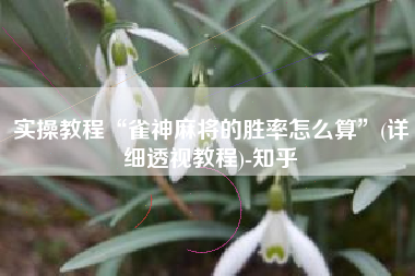 实操教程“雀神麻将的胜率怎么算	”(详细透视教程)-知乎