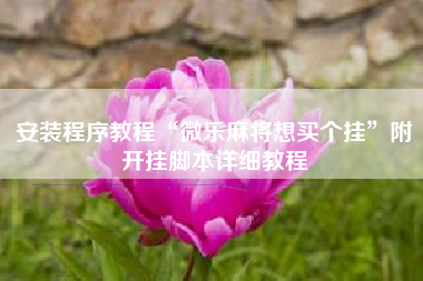 安装程序教程“微乐麻将想买个挂”附开挂脚本详细教程