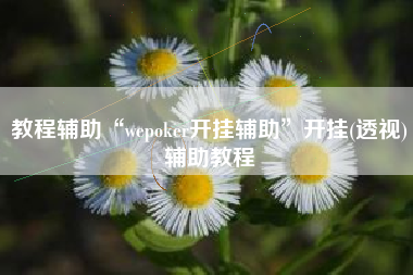 教程辅助“wepoker开挂辅助	”开挂(透视)辅助教程