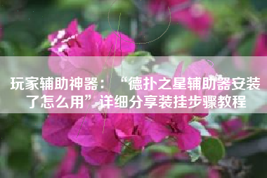 玩家辅助神器：“德扑之星辅助器安装了怎么用”详细分享装挂步骤教程