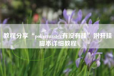 教程分享“pokermaster有没有挂	”附开挂脚本详细教程