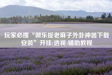 玩家必搜“微乐捉老麻子外卦神器下载安装”开挂(透视)辅助教程