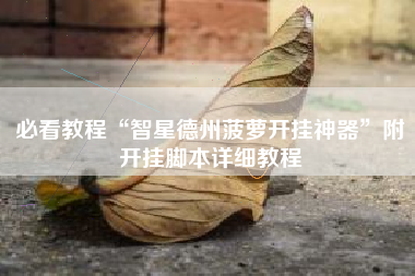 必看教程“智星德州菠萝开挂神器”附开挂脚本详细教程