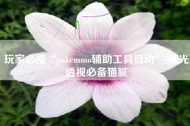 玩家必搜“pokemmo辅助工具自动	”(曝光透视必备猫腻