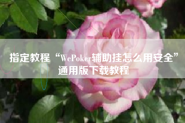 指定教程“WePoker辅助挂怎么用安全”通用版下载教程