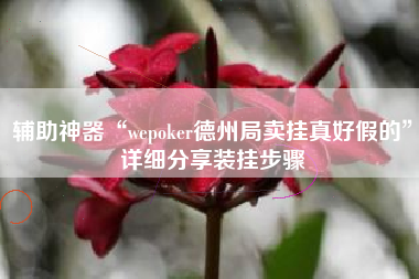 辅助神器“wepoker德州局卖挂真好假的	”详细分享装挂步骤