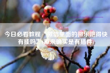 今日必看教程“微信里面的微乐跑得快有挂吗”(原来确实是有插件)