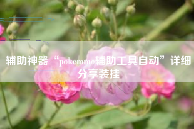 辅助神器“pokemmo辅助工具自动”详细分享装挂
