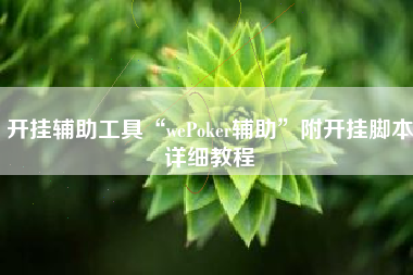 开挂辅助工具“wePoker辅助”附开挂脚本详细教程