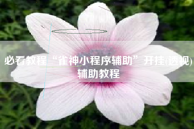 必看教程“雀神小程序辅助	”开挂(透视)辅助教程