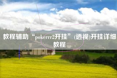 教程辅助“pokerrr2开挂	”(透视)开挂详细教程