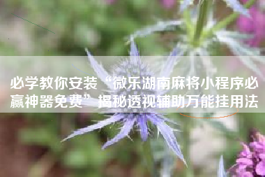 必学教你安装“微乐湖南麻将小程序必赢神器免费”揭秘透视辅助万能挂用法