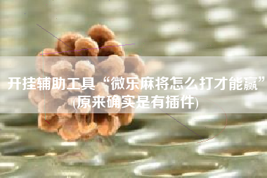 开挂辅助工具“微乐麻将怎么打才能赢”(原来确实是有插件)