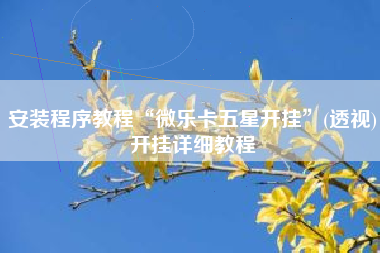 安装程序教程“微乐卡五星开挂	”(透视)开挂详细教程