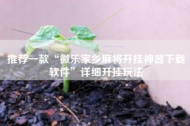 推荐一款“微乐家乡麻将开挂神器下载软件	”详细开挂玩法