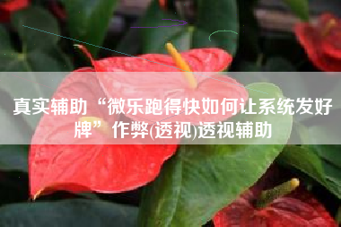 真实辅助“微乐跑得快如何让系统发好牌”作弊(透视)透视辅助