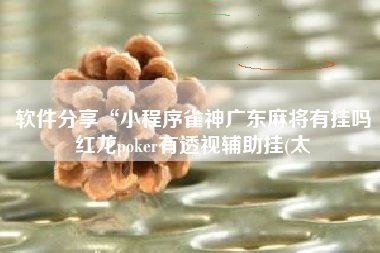 软件分享“小程序雀神广东麻将有挂吗红龙poker有透视辅助挂(太