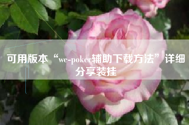 可用版本“we-poker辅助下载方法”详细分享装挂