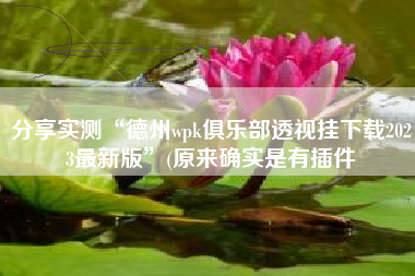 分享实测“德州wpk俱乐部透视挂下载2023最新版	”(原来确实是有插件