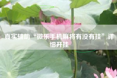 真实辅助“微乐手机麻将有没有挂”详细开挂