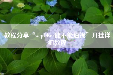教程分享“wepOKer能不能透视”开挂详细教程