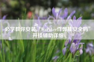 必学教你安装“WePoker作弊挂安全吗	”开挂辅助详细