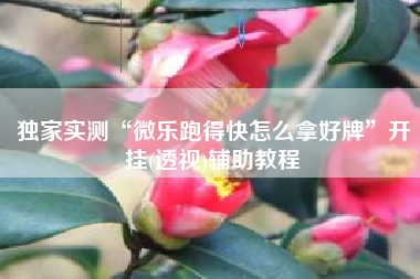 独家实测“微乐跑得快怎么拿好牌	”开挂(透视)辅助教程