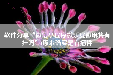 软件分享“微信小程序微乐安徽麻将有挂吗”(原来确实是有插件